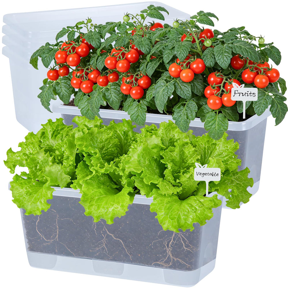 Oliz front view of 13.8 inch planter showing sleek translucent white design and capacity