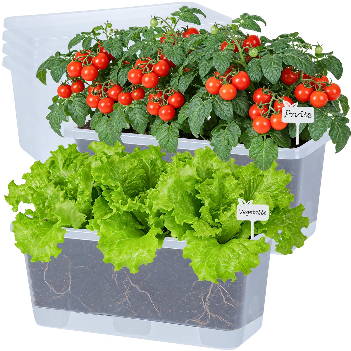 Oliz front view of 13.8 inch planter showing sleek translucent white design and capacity