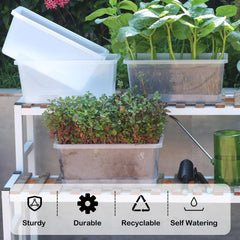 Oliz clear reservoir detail showing water level and self-watering system benefit