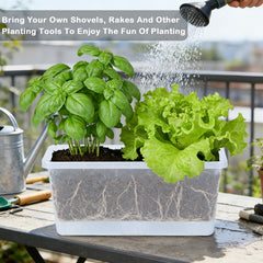 Oliz tray and bottom drainage holes protecting surfaces and preventing overwatering