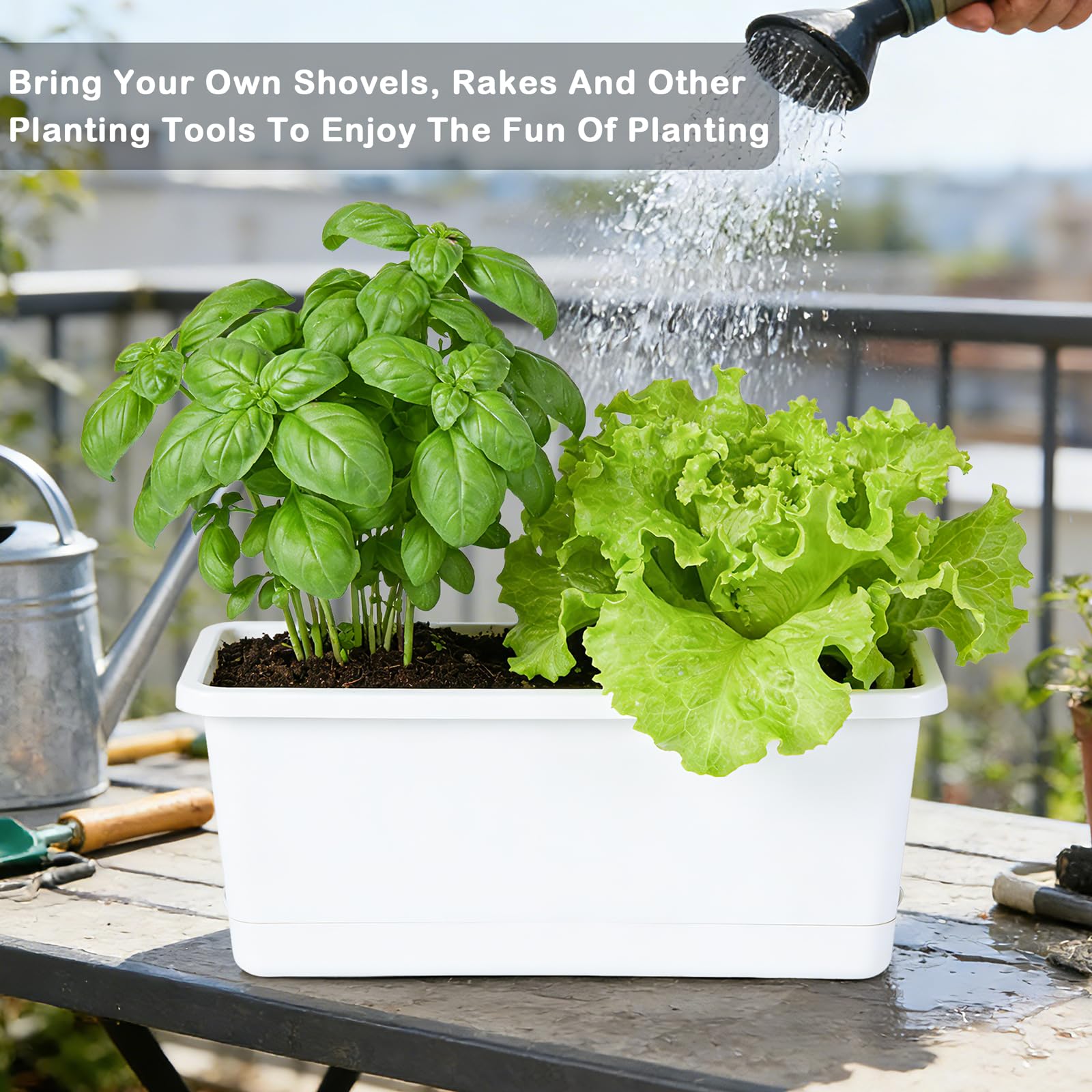 Oliz side view showing water reservoir and detachable tray for easy refills and tidy surfaces