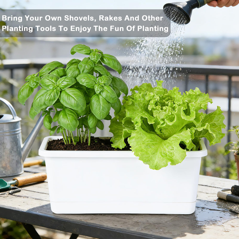 Oliz side view showing water reservoir and detachable tray for easy refills and tidy surfaces