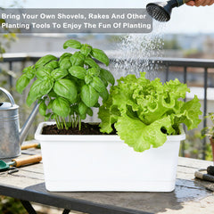 Oliz side view showing water reservoir and detachable tray for easy refills and tidy surfaces