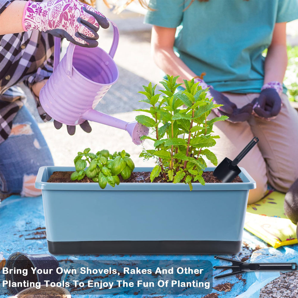 Oliz filled with succulents and herbs showing diverse planting potential and attractive arrangement