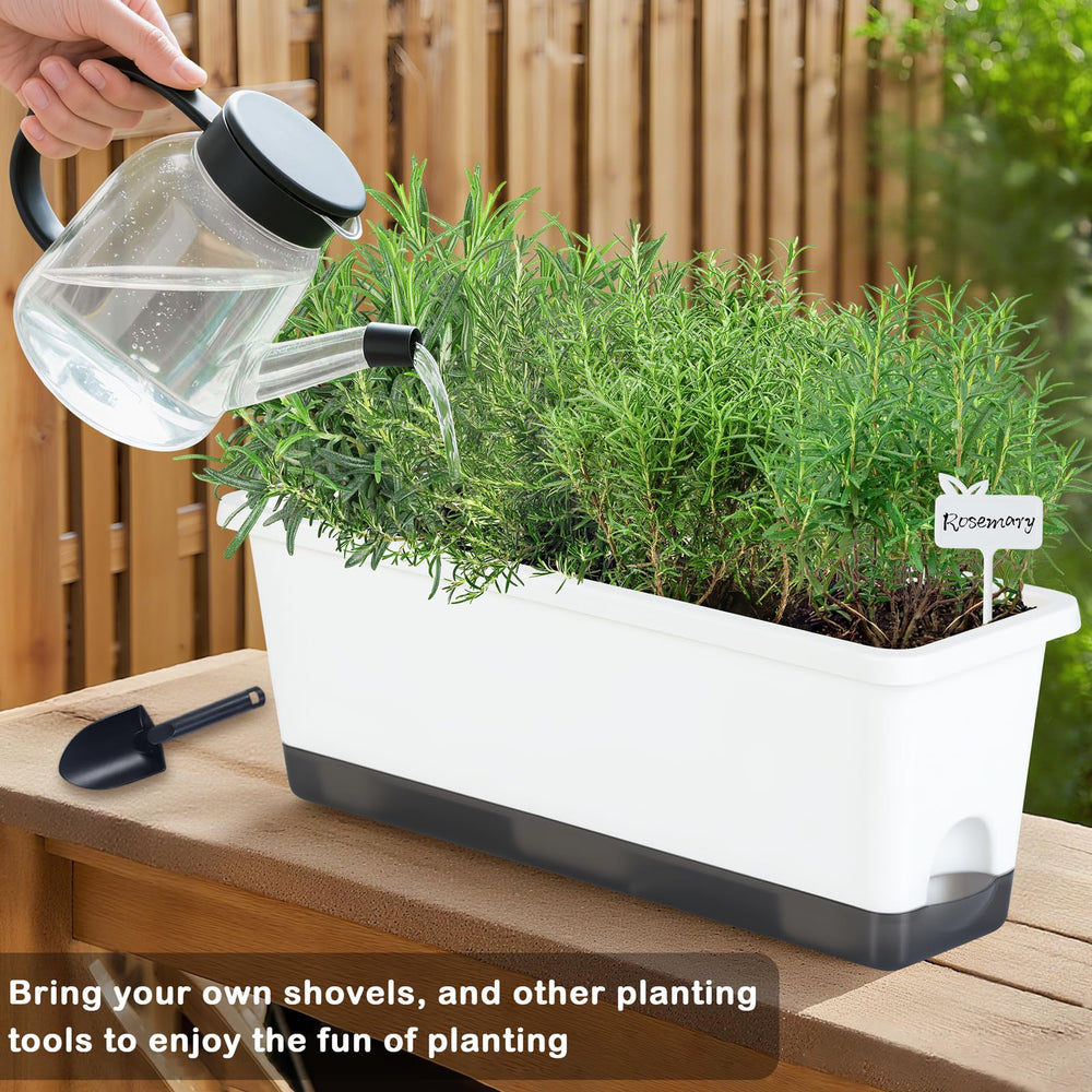Oliz top view showing soil, absorbent wick, and fill access for steady watering