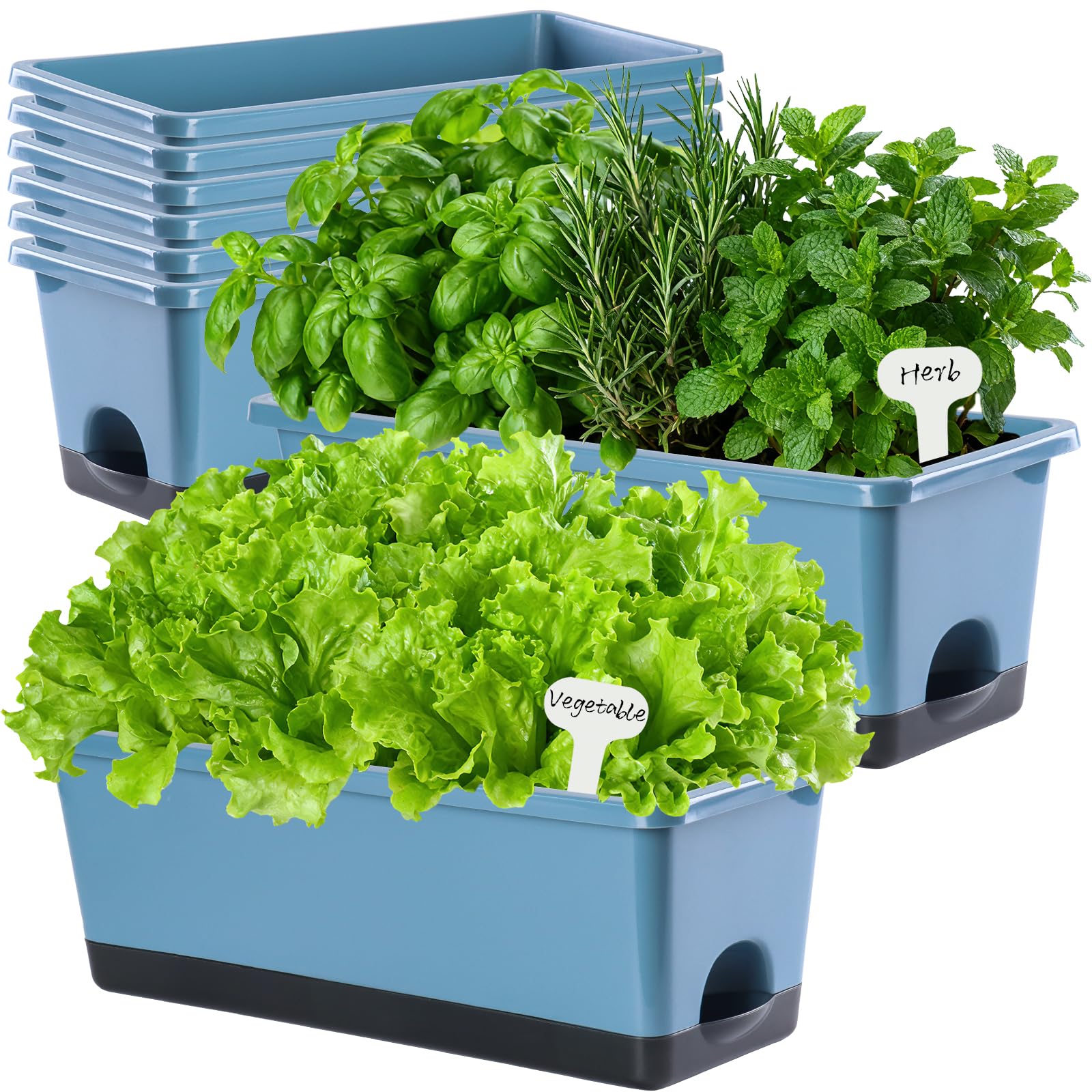 Oliz underside showing tray and water reservoir that preserves moisture while preventing overwatering