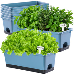Oliz underside showing tray and water reservoir that preserves moisture while preventing overwatering
