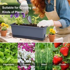 Oliz planted herbs on a windowsill demonstrating space-saving gardening and fresh herbs at hand