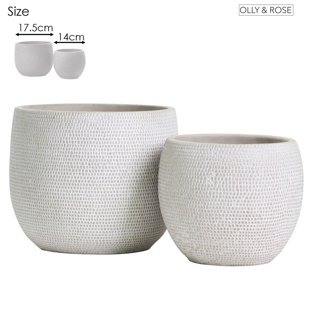 Olly & Rose comparison of large and medium pots showing scale and planting flexibility benefit