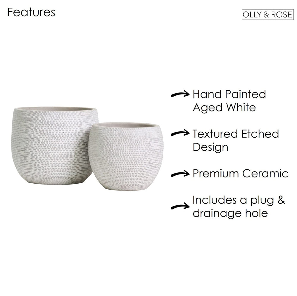 Olly & Rose extreme close-up of glazed ceramic texture showing durable finish and easy-care benefit