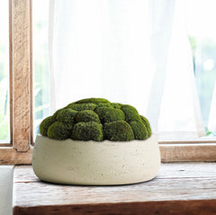Olly & Rose on coffee table staged with decor showing how it enhances interiors