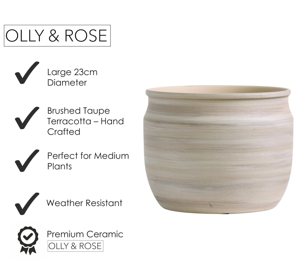 Olly & Rose pot beside a hand to show 9-inch scale for size-accurate shopping
