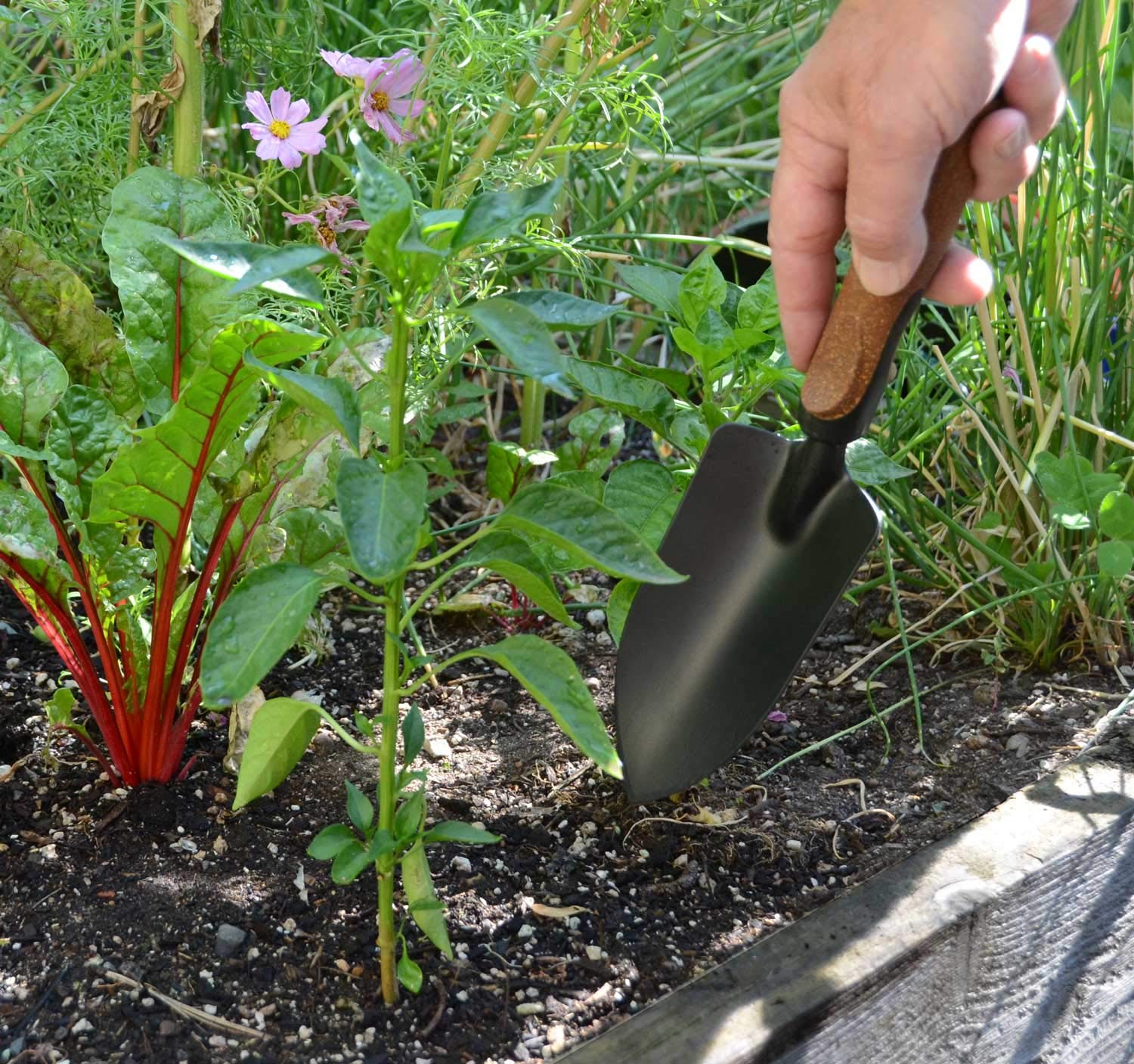 Olmsted Forge tool in garden use demonstrating efficient digging and planting