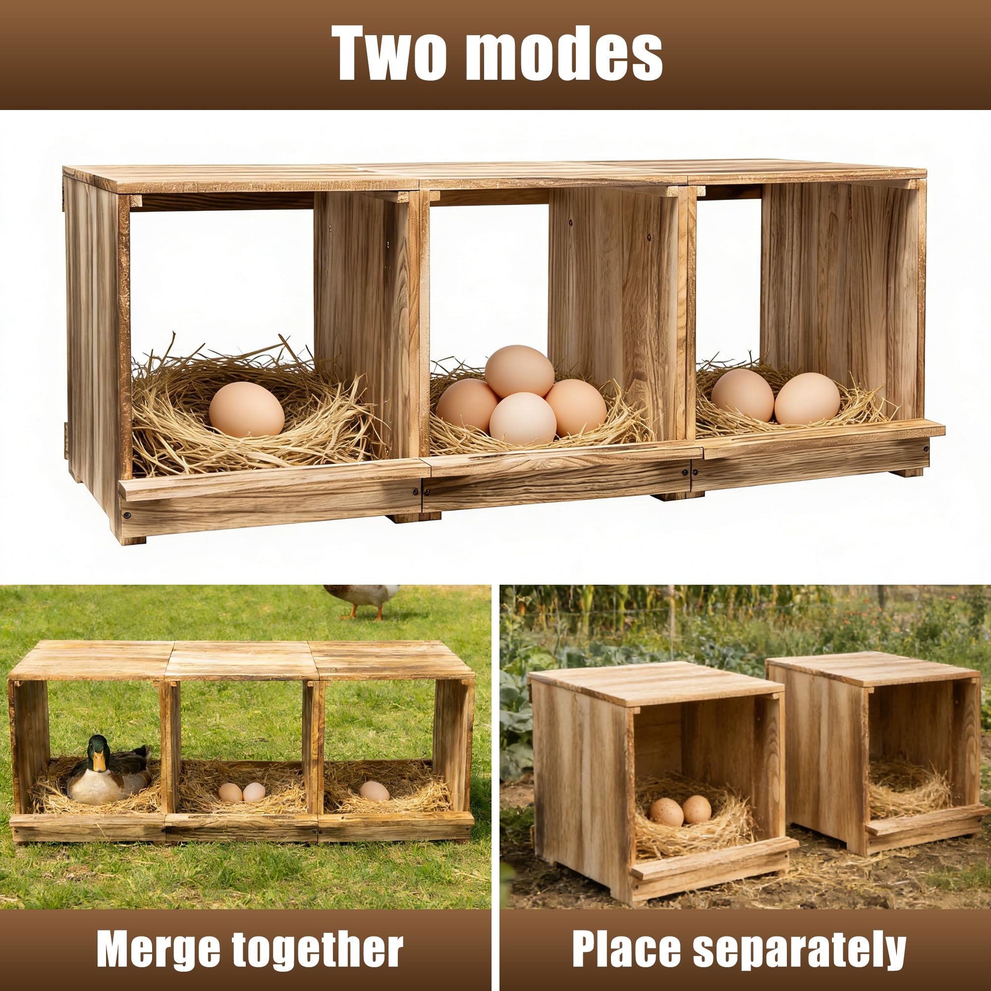 Oltara perch and baffle detail protecting eggs and providing comfortable hen roosting