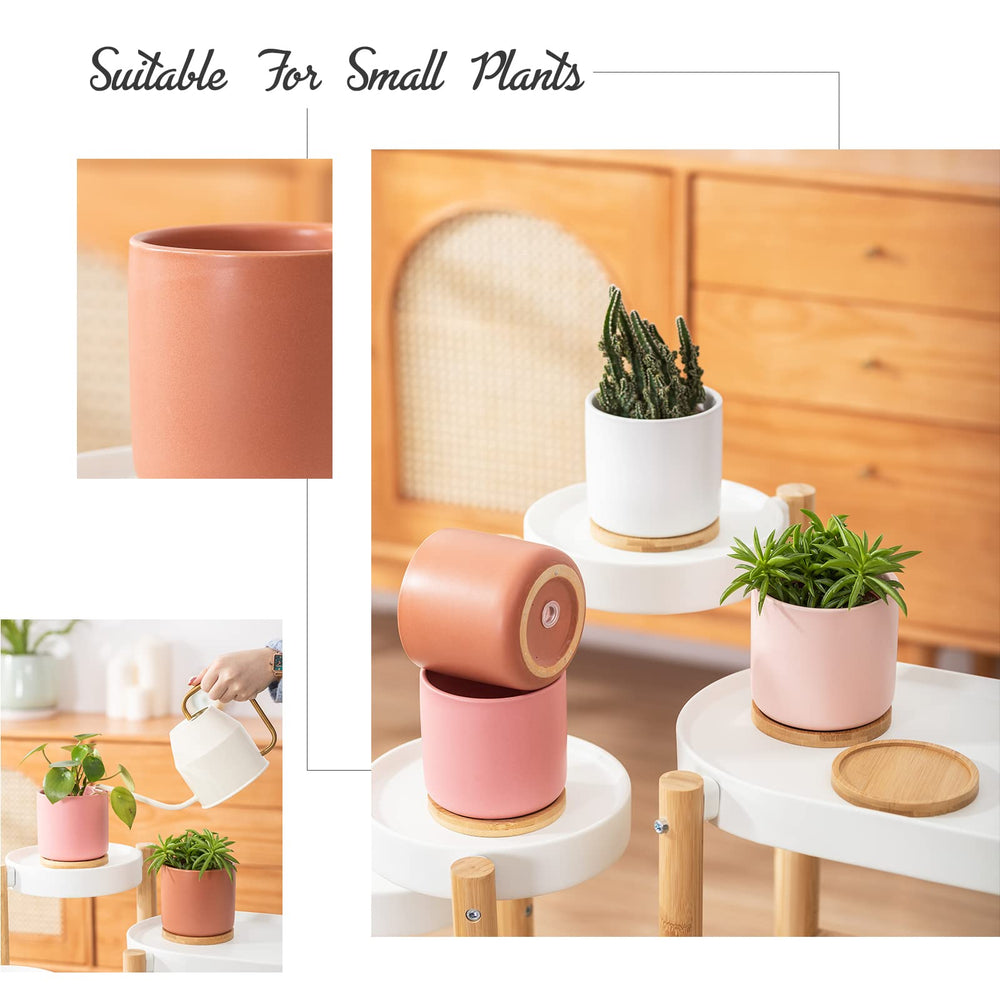 OMAYKEY size comparison in hand illustrating compact four-inch pot scale
