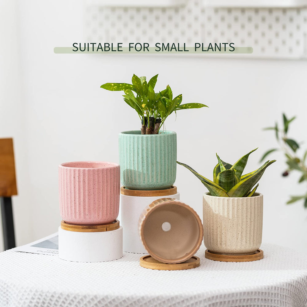 OMAYKEY pot beside a ruler showing 4-inch size for easy plant selection