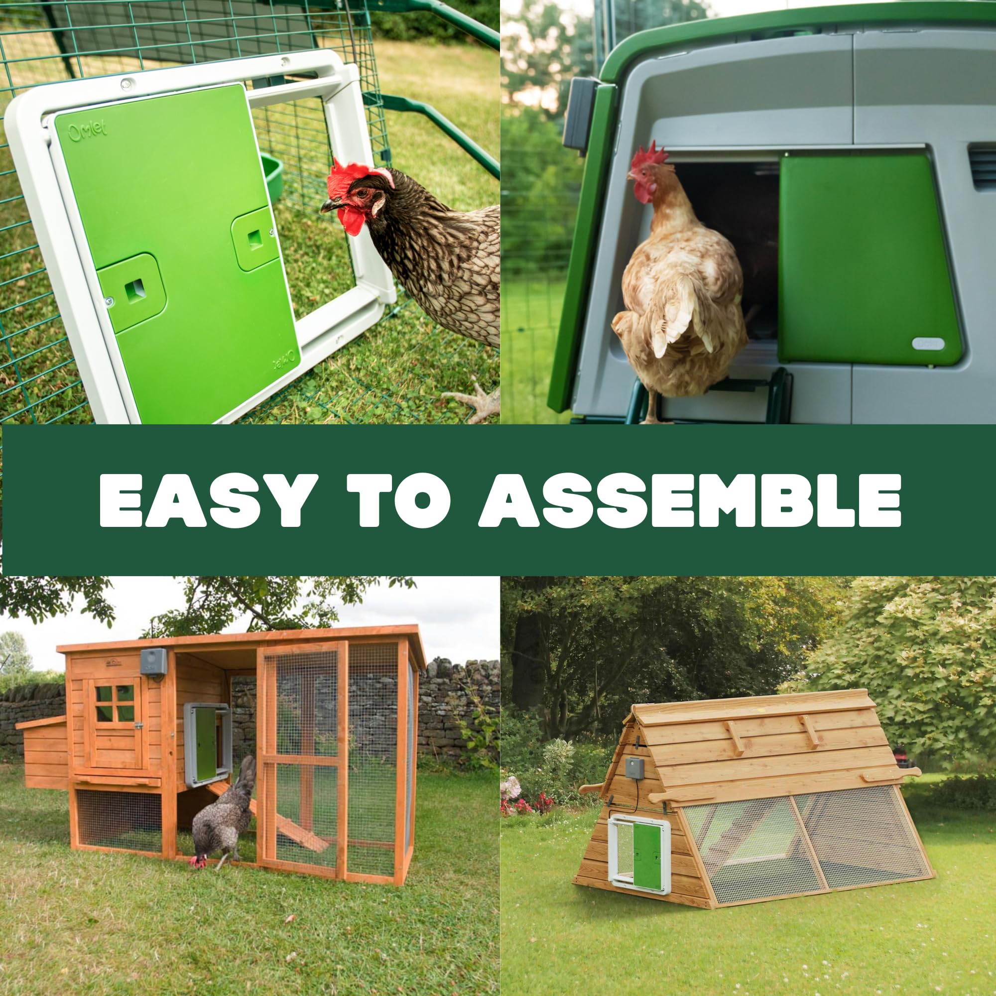 Omlet Autodoor open with chickens using the run, illustrating reliable daily access