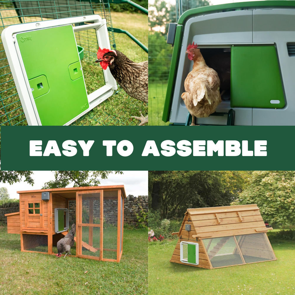 Omlet Autodoor open with chickens using the run, illustrating reliable daily access