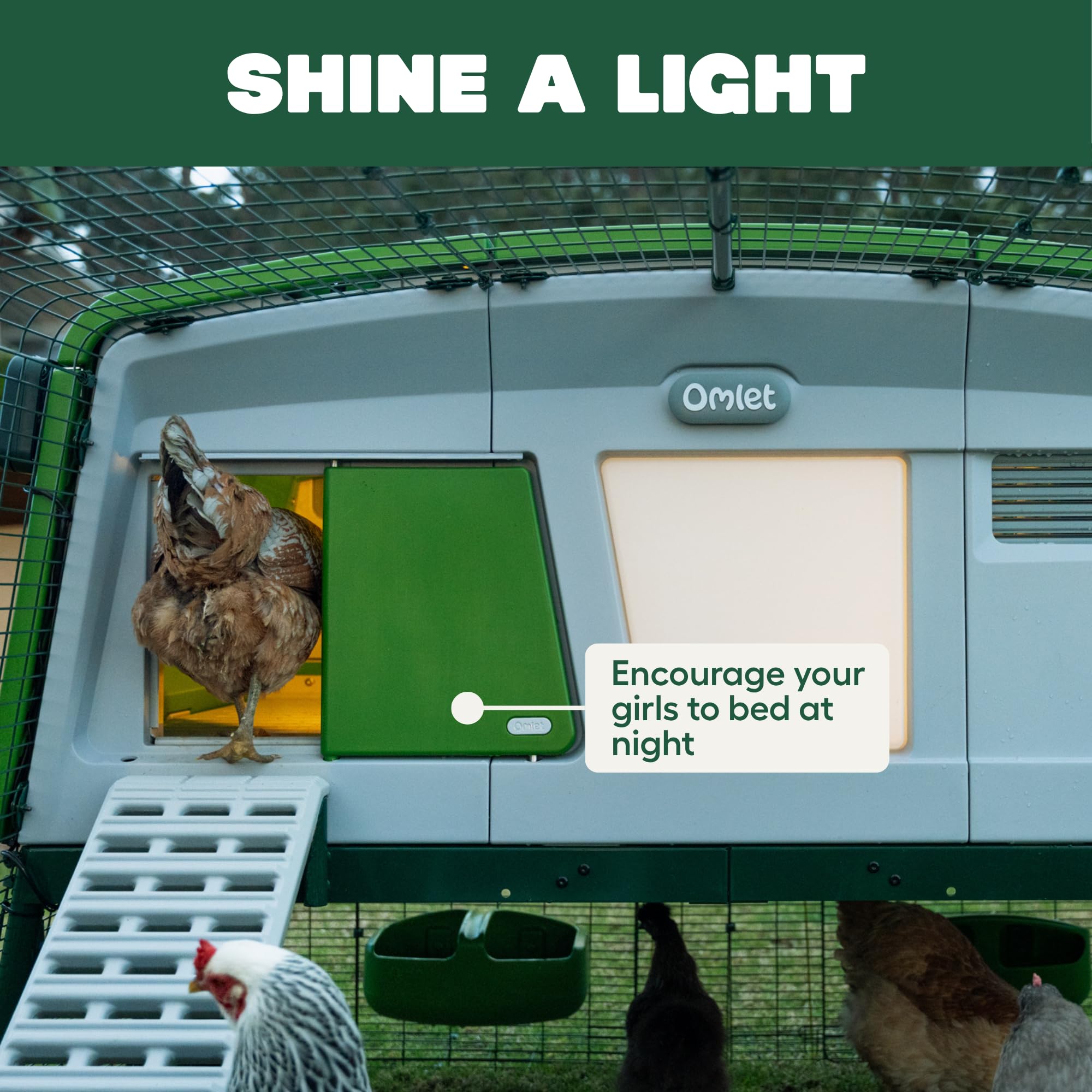 Omlet Coop Light mounted inside a coop guiding hens and reducing evening stress