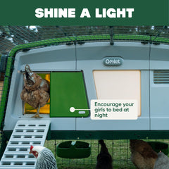 Omlet Coop Light mounted inside a coop guiding hens and reducing evening stress