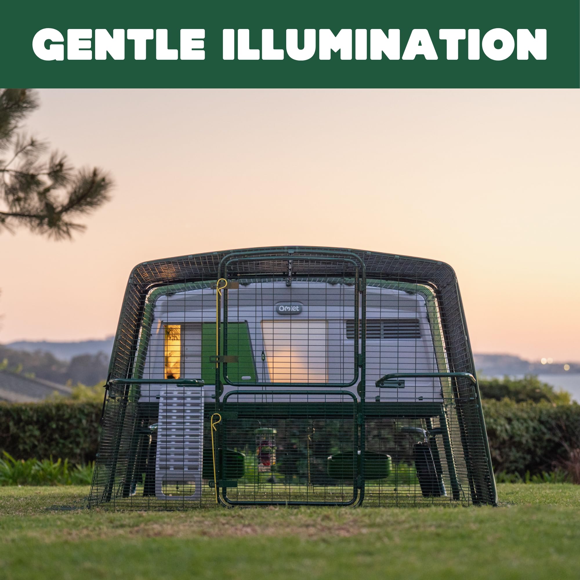 Omlet Coop Light inside an Eglu Cube creating a calm interior light for chickens
