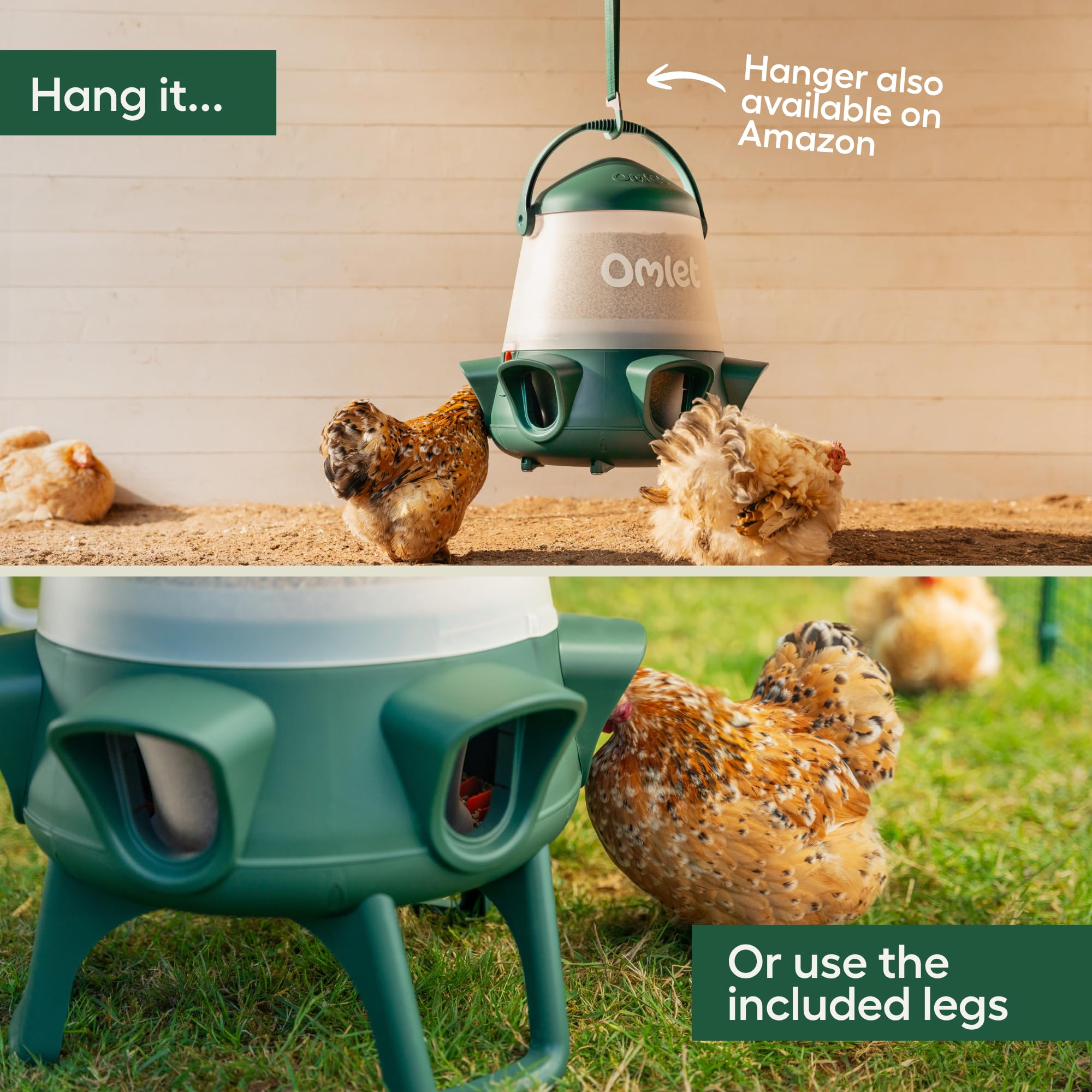 Close-up of feed inside Omlet feeder showing pellet compatibility, preserves feed quality