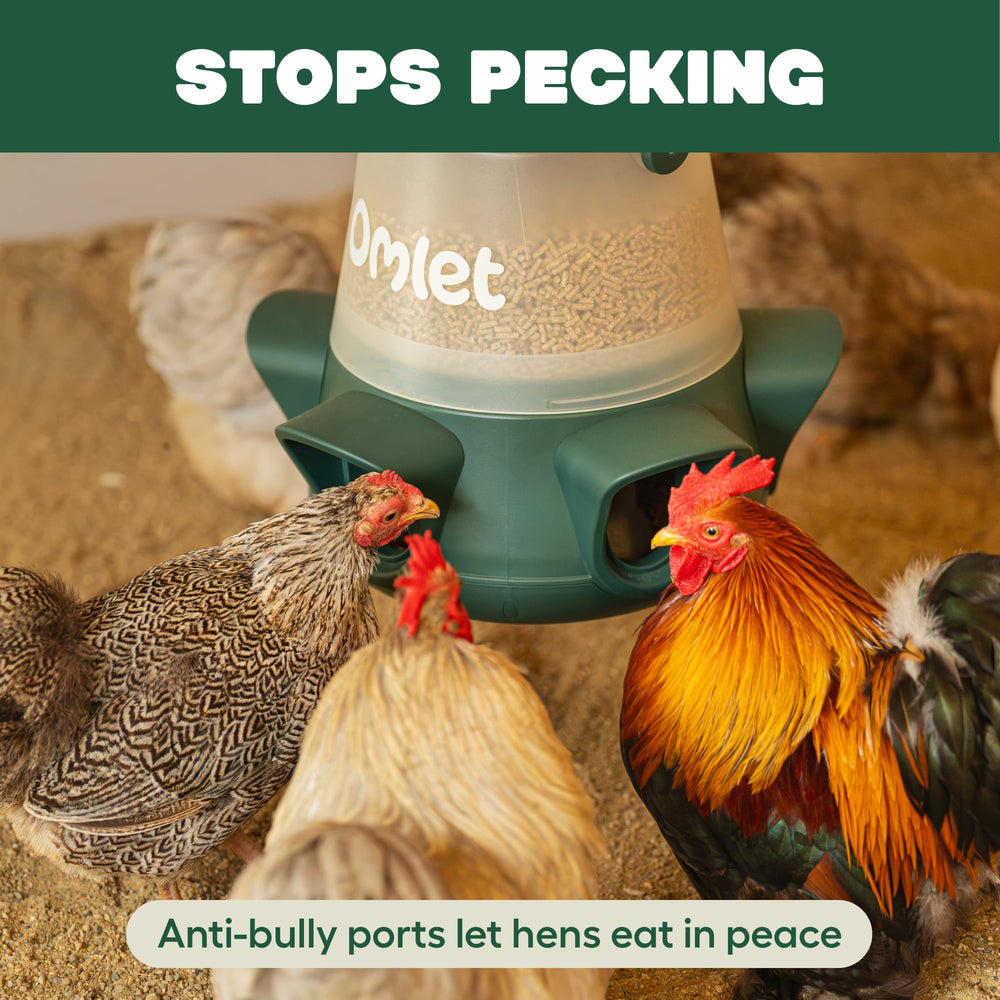 Omlet feeder beside hens to show scale and capacity for six birds