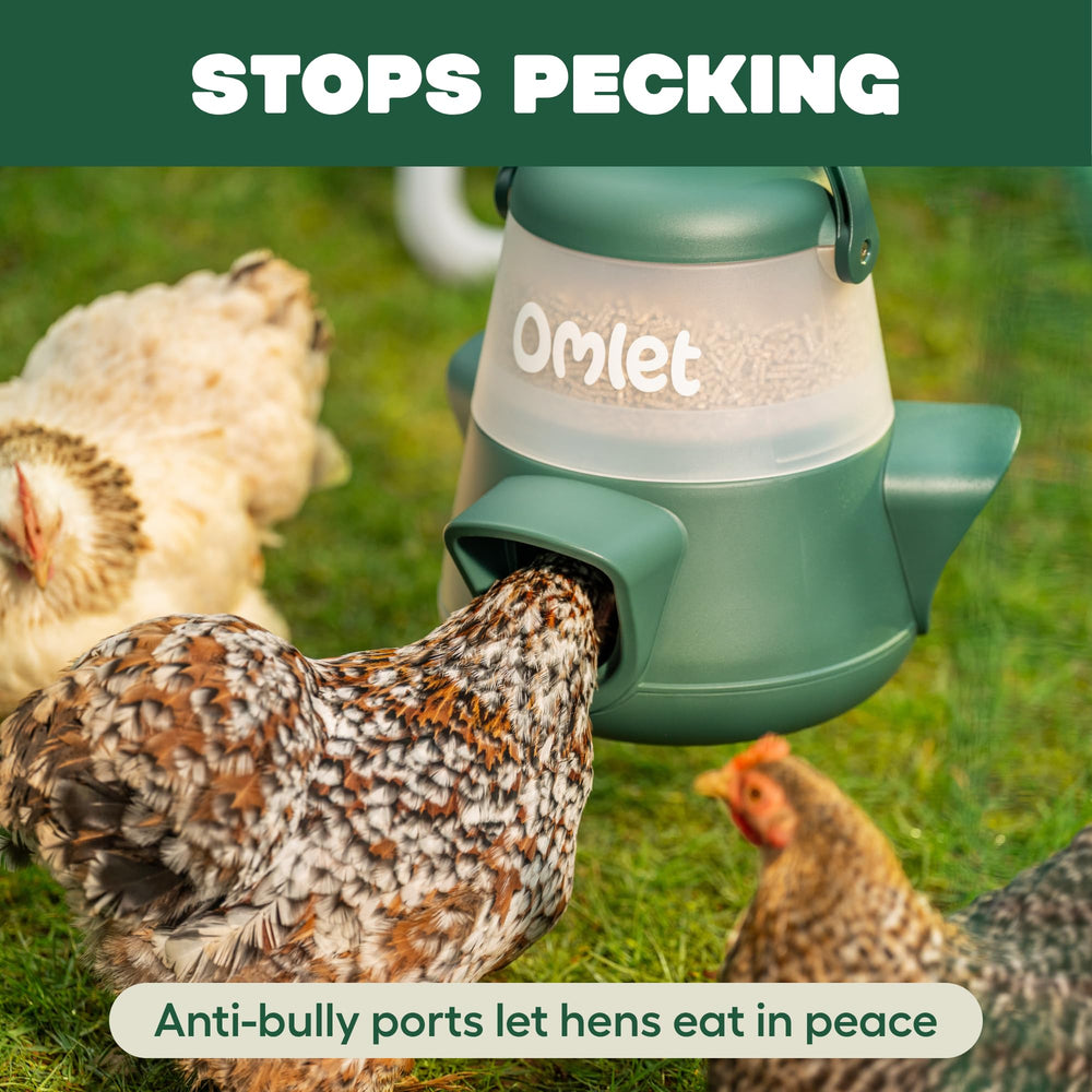 Omlet feeder beside hen for scale shows compact size and accessibility