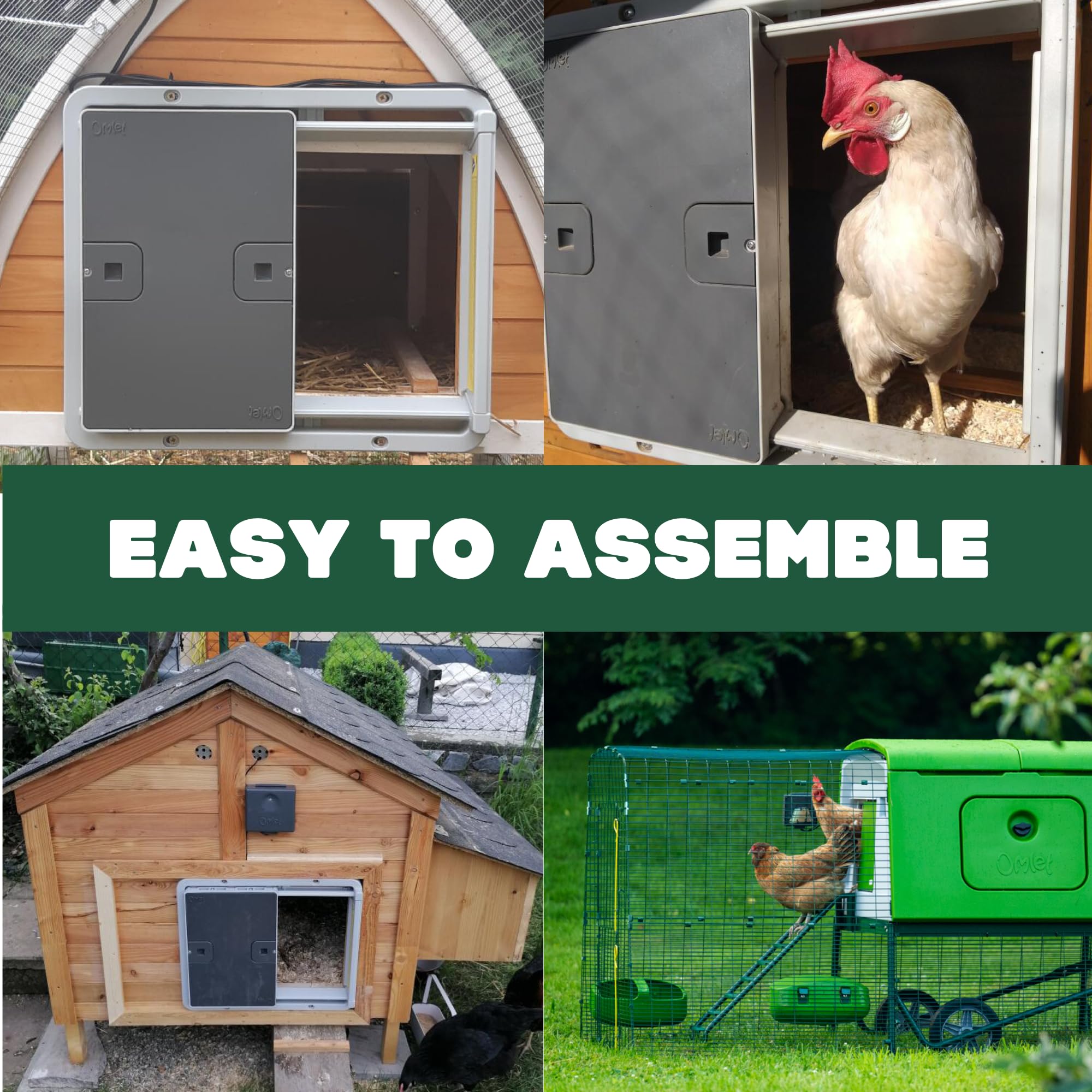 Omlet door opening at sunrise offering automated morning access