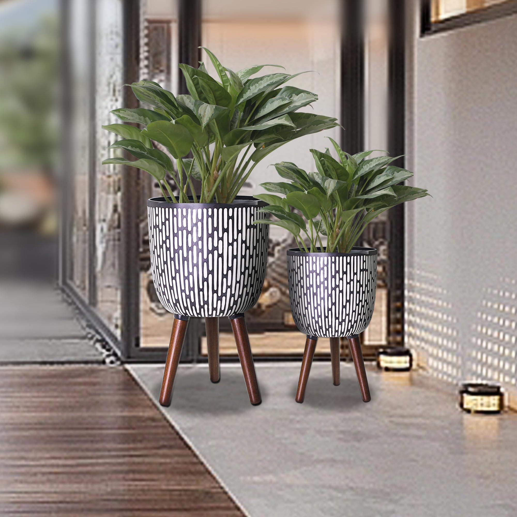 Opnons planted set with monstera and snake plant illustrating healthy display