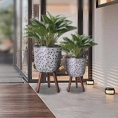 Opnons planted set with monstera and snake plant illustrating healthy display