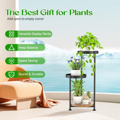 Oppro plant stand in living room demonstrating decorative display benefit
