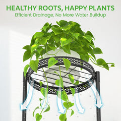 Oppro installed in living room corner offering organized plant display