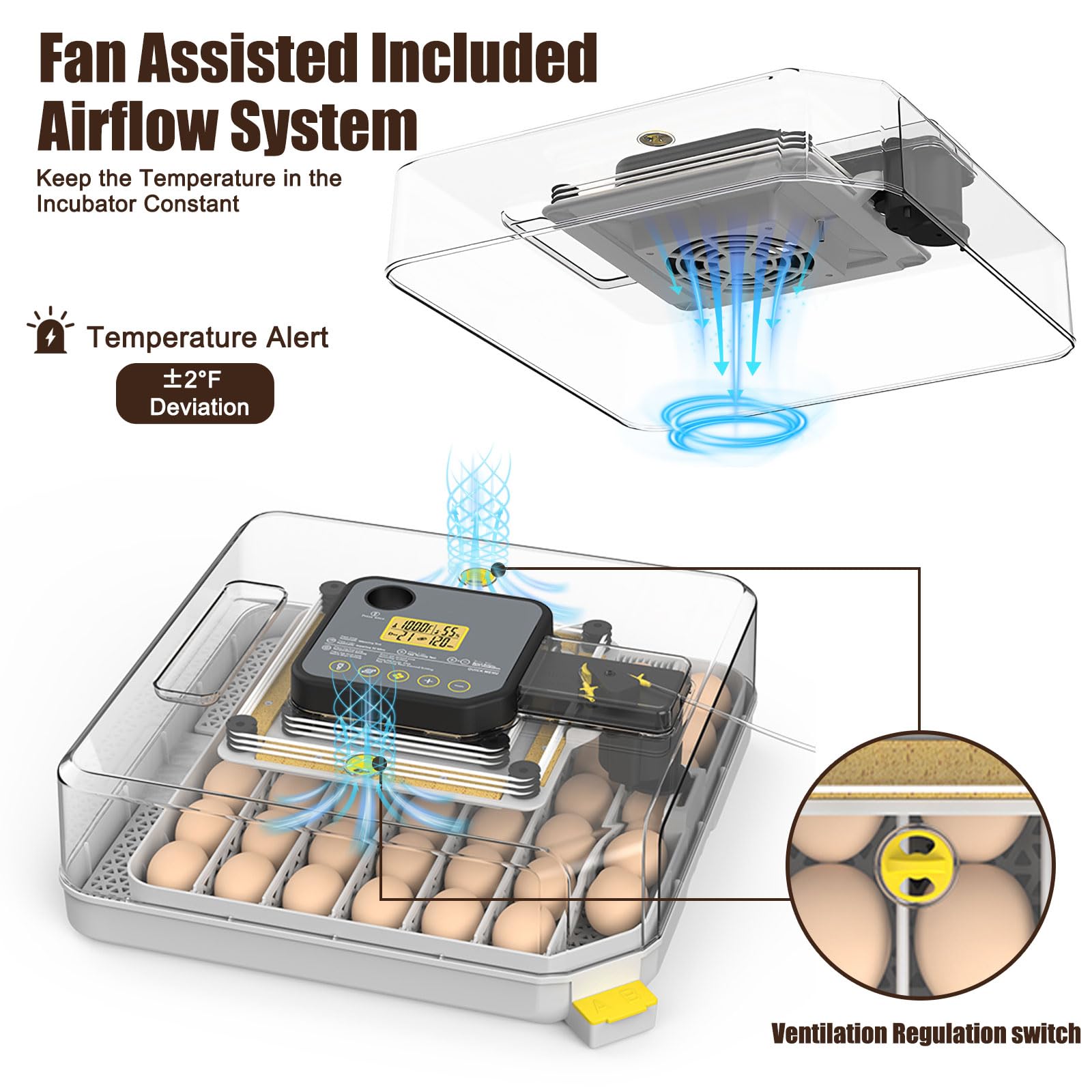 Oqioprd removable divider close-up showing flexible layout for different eggs