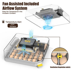 Oqioprd removable divider close-up showing flexible layout for different eggs