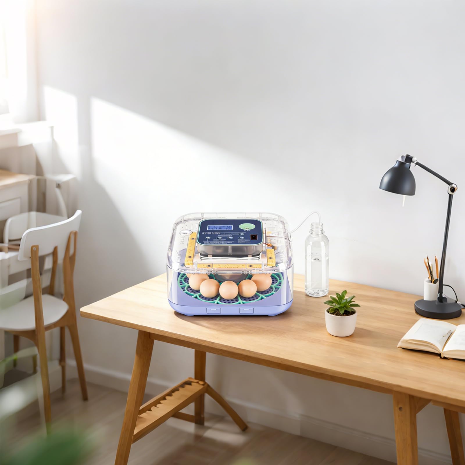 Oqioprd incubator in classroom lifestyle setting showing educational and hobby use