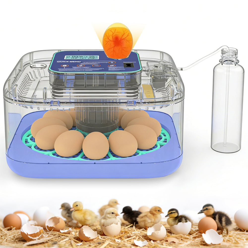 Oqioprd front view showing clear lid and stable incubation environment benefit visibility