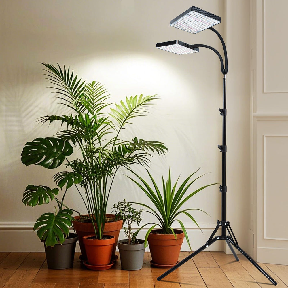 Orchbloom stable base image conveying steady support and safety