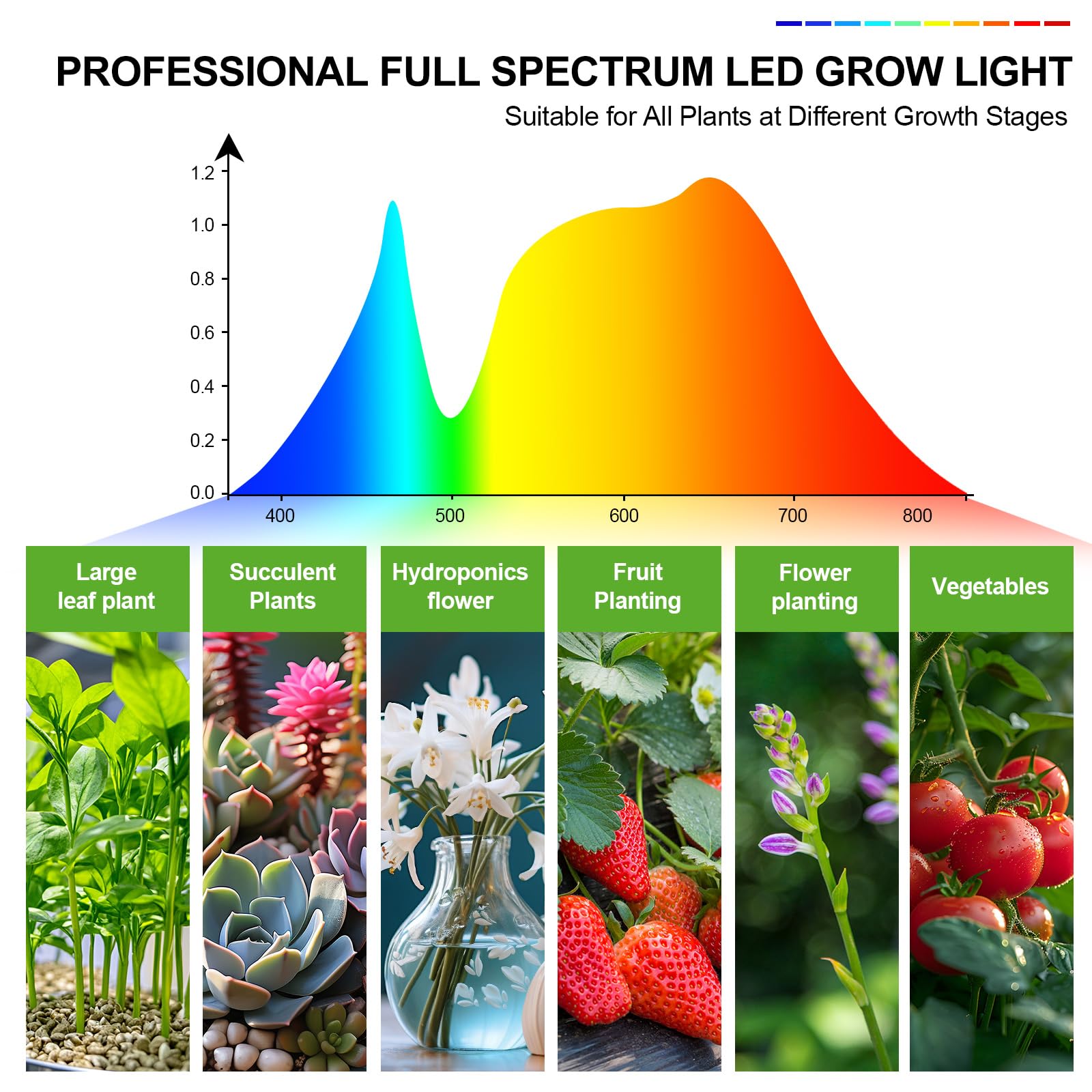Orchbloom lighting a bonsai tree demonstrating focused illumination for compact specimens