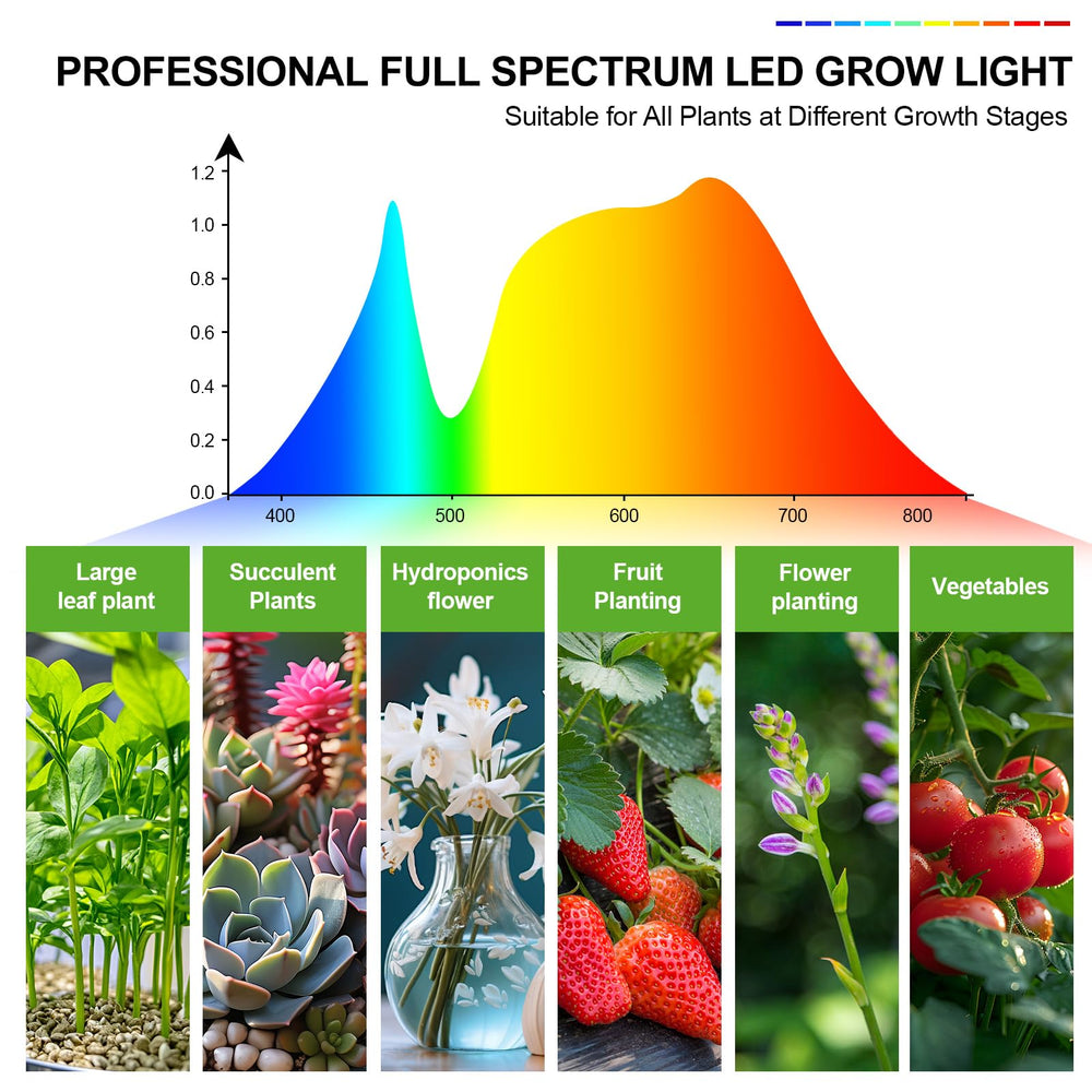 Orchbloom lighting a bonsai tree demonstrating focused illumination for compact specimens