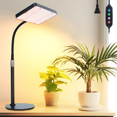 Orchbloom lamp front view on table showing clean design and even plant light
