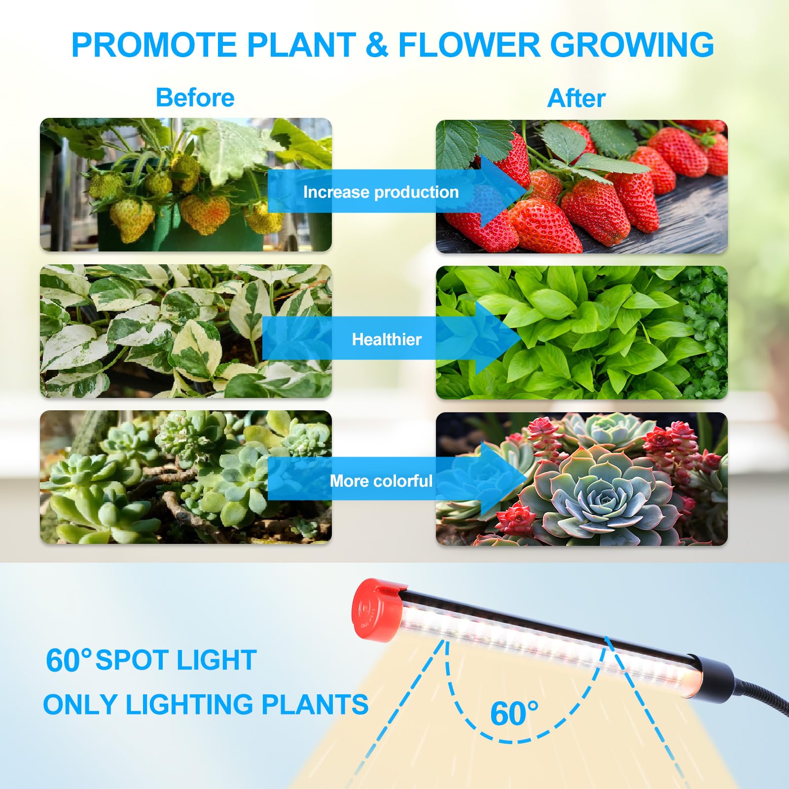 Orchbloom lamp in use over a large monstera providing consistent light for wide leaves