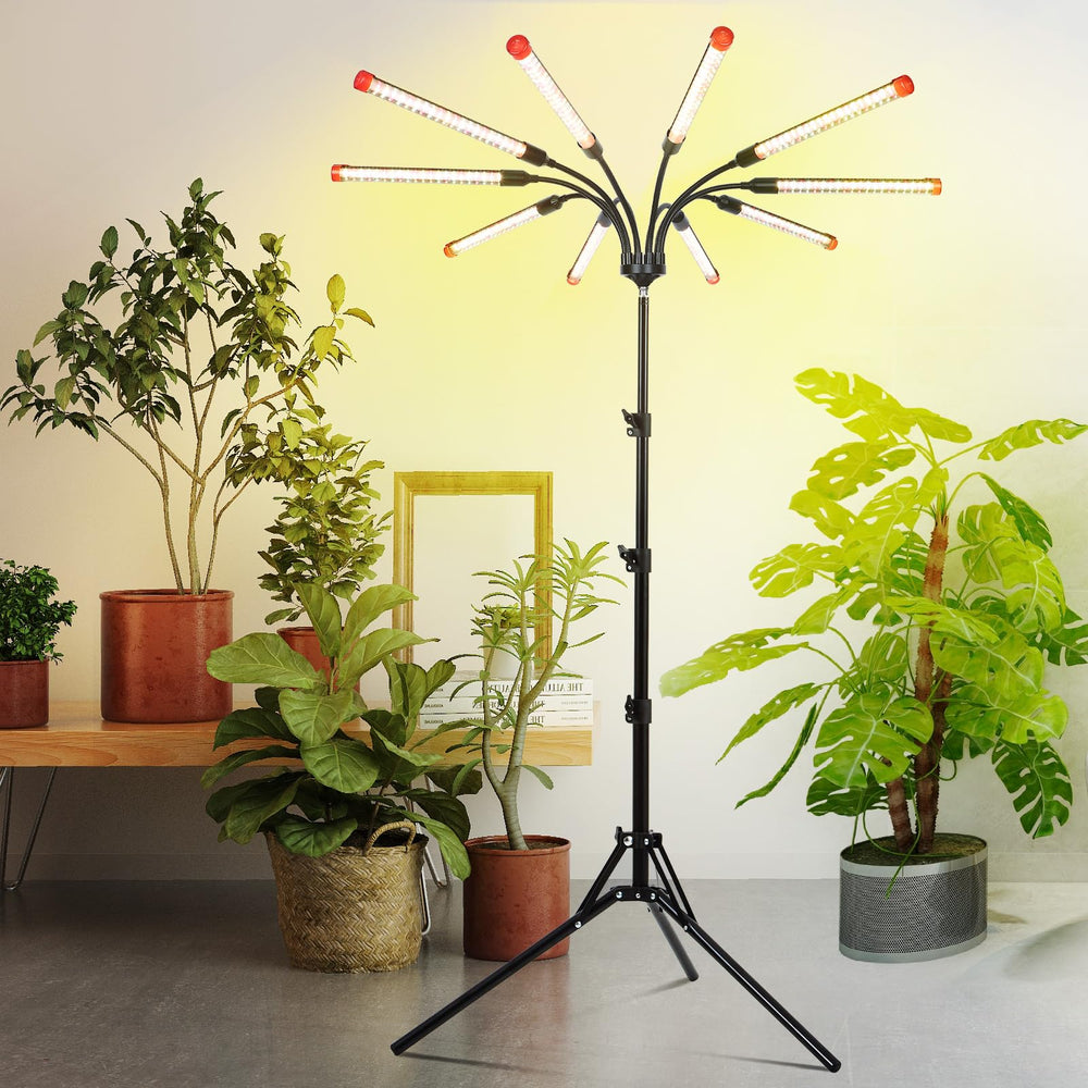 Orchbloom next to a chair for scale showing compact footprint and household placement