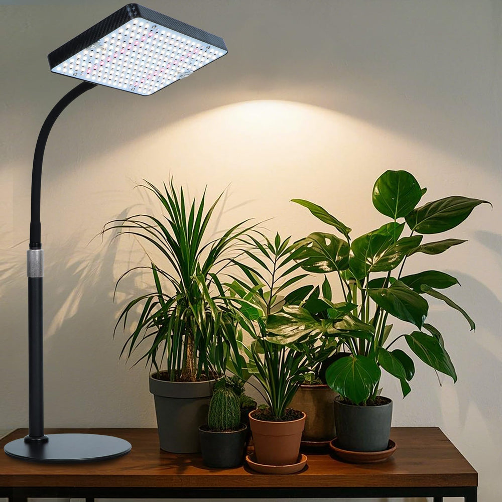 Orchbloom beside ruler showing size scale and versatile tabletop placement benefit