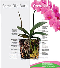 Orchiata bark packed in clear pot demonstrating improved drainage benefit