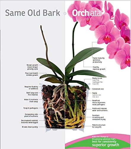 Orchiata bark in pot with orchid illustrating improved aeration and drainage