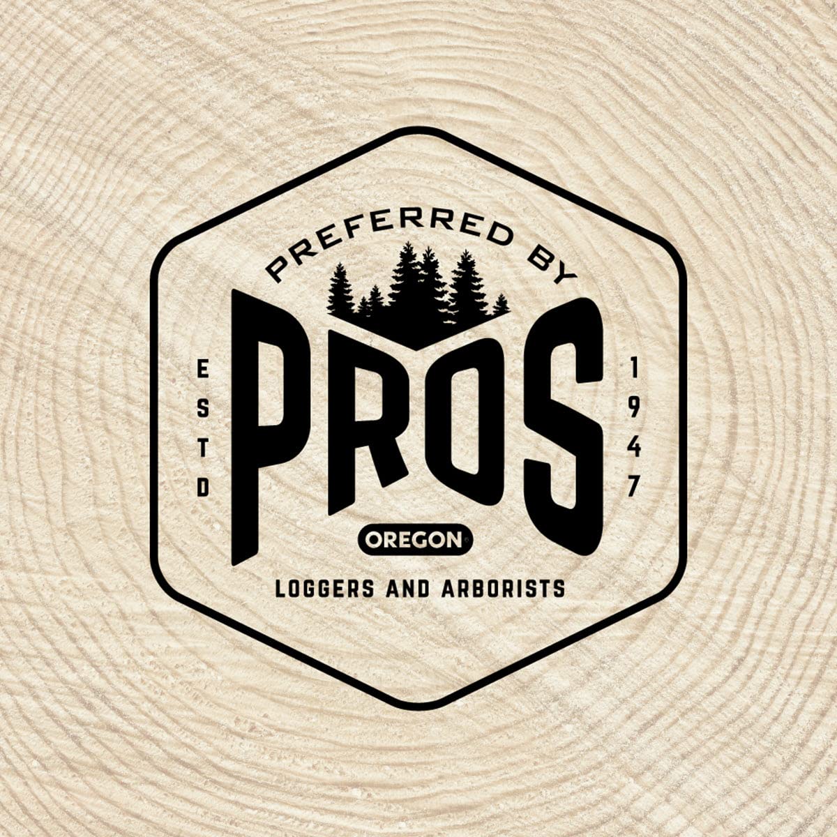 Oregon drop-center depth gauge and flat file for accurate settings