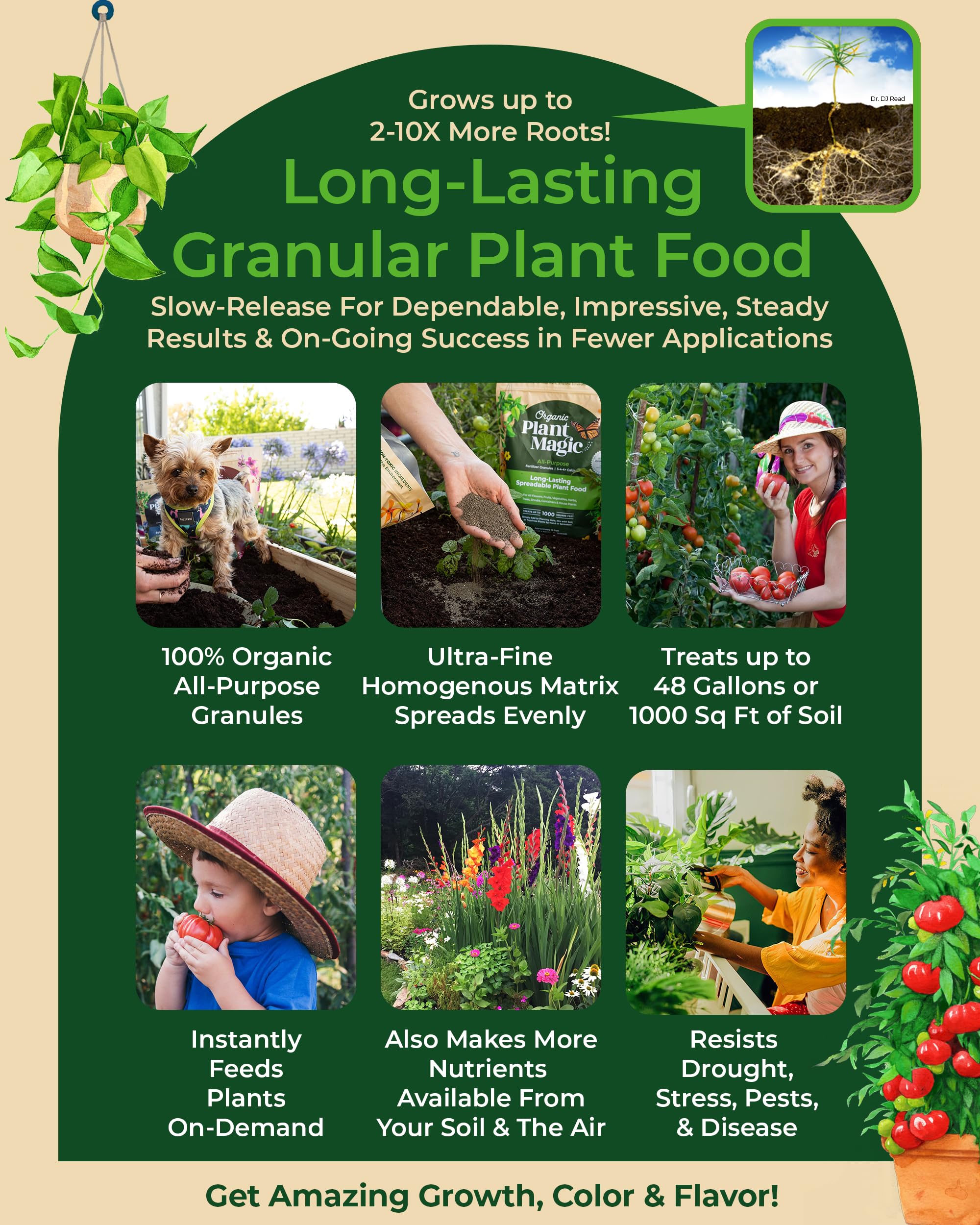 Organic Plant Magic spread across a garden bed for even coverage