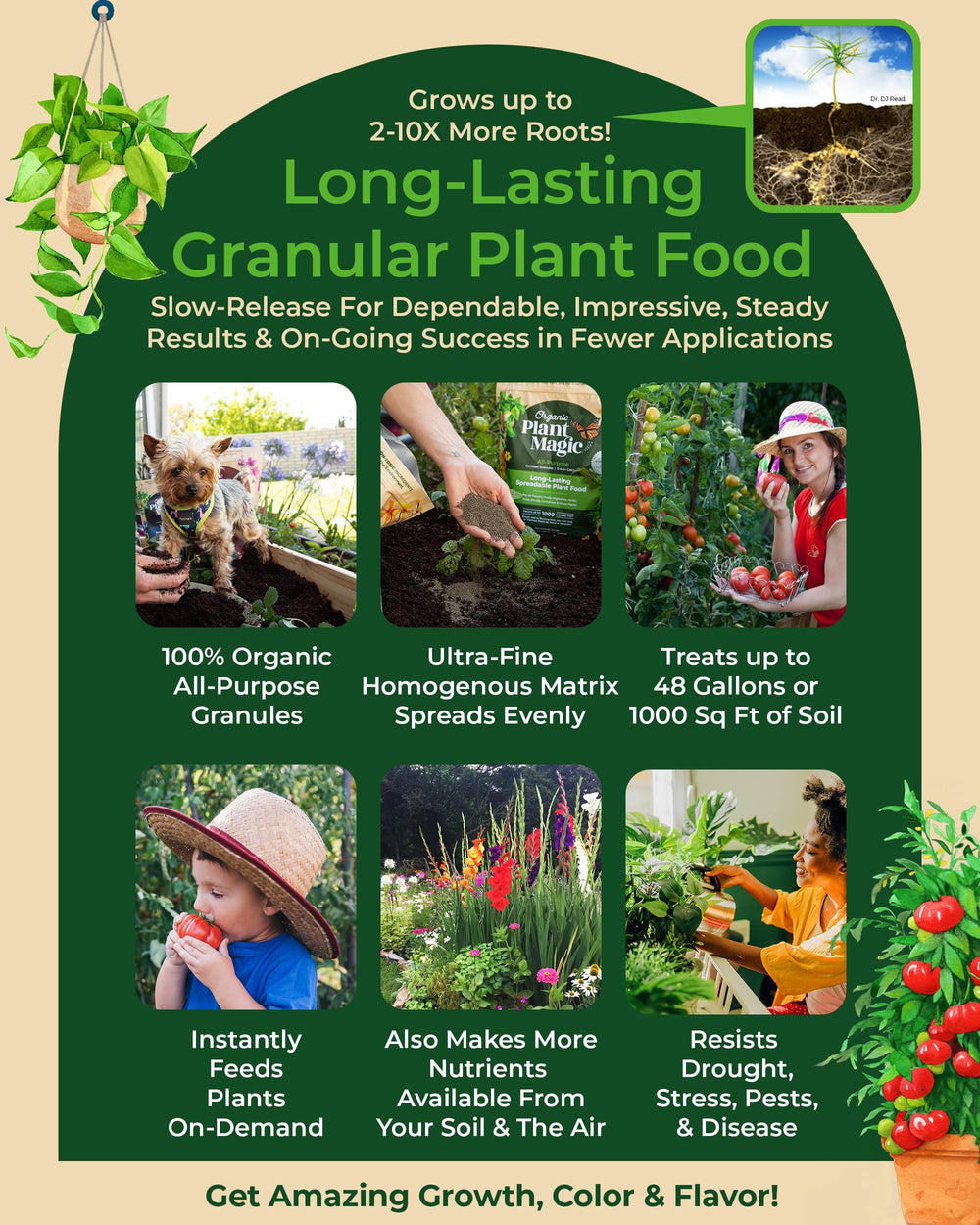 Organic Plant Magic spread across a garden bed for even coverage