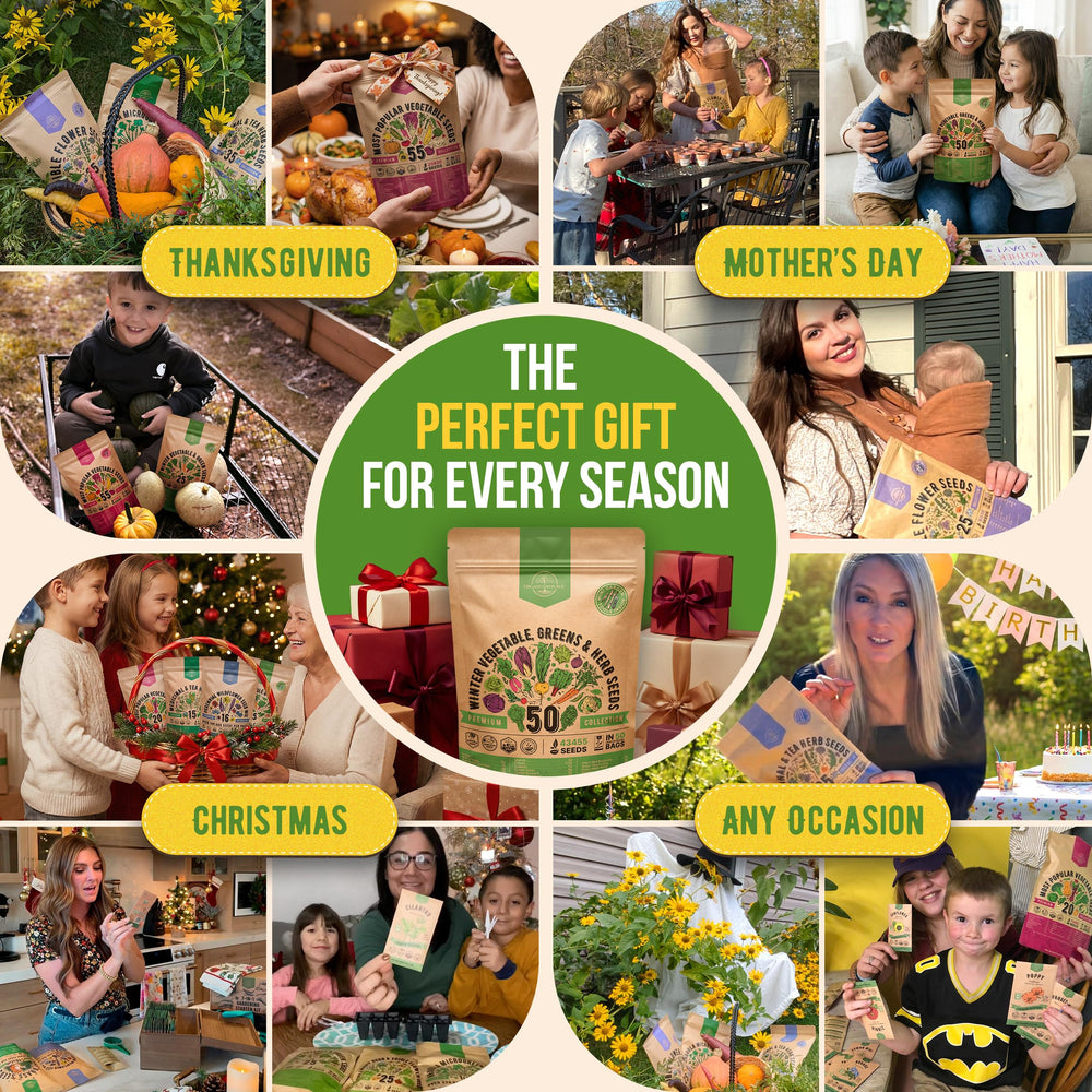 Organo Republic lifestyle kitchen harvest with vegetables, showcases fresh homegrown produce